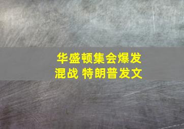 华盛顿集会爆发混战 特朗普发文